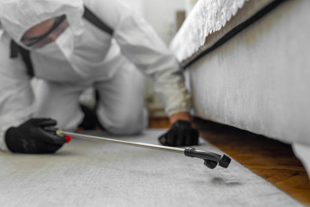 Professional Termite Control technician working in Tarboro, NC