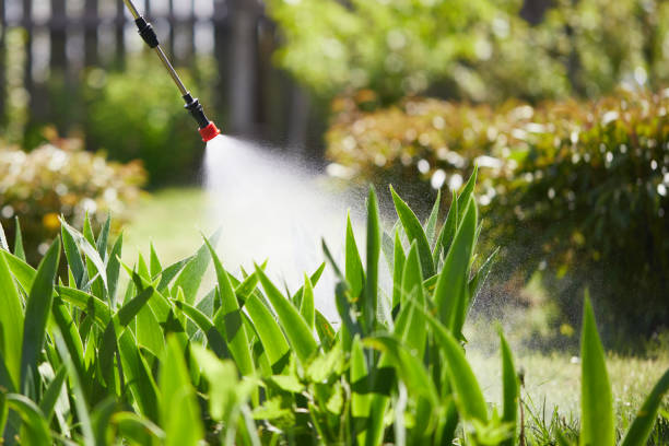 24/7 Emergency Termite Control experts in Tarboro, NC